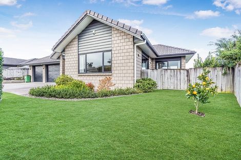 Photo of property in 14 Ashwick Terrace, Huntington, Hamilton, 3210