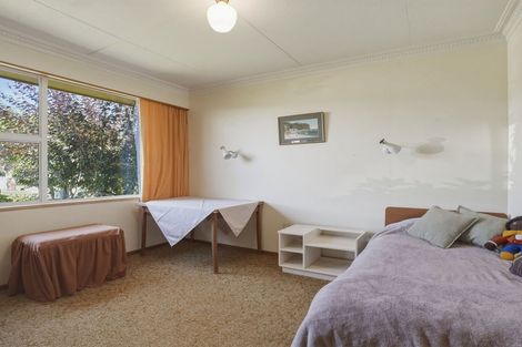 Photo of property in 14 Queen Street, Milton, 9220