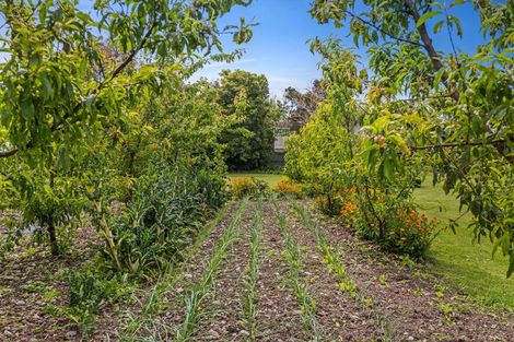 Photo of property in 45 Wildman Road, Motueka, 7120