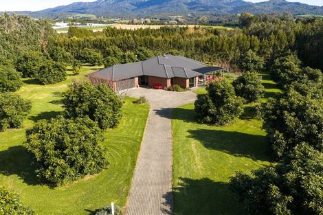 Photo of property in 55 Pine Ridge Lane, Aongatete, Katikati, 3181