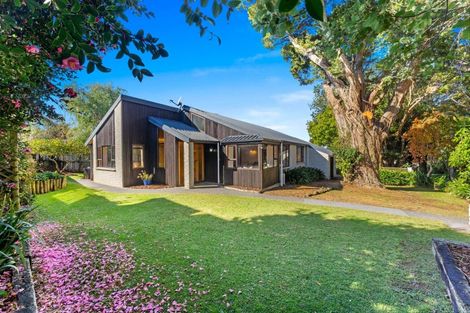 Photo of property in 5 Totara Grove, Hillcrest, Auckland, 0627