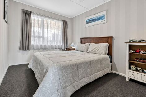 Photo of property in 17 Sholson Street, Putaruru, 3411