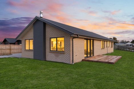 Photo of property in 22 Foster Place, Amberley, 7410