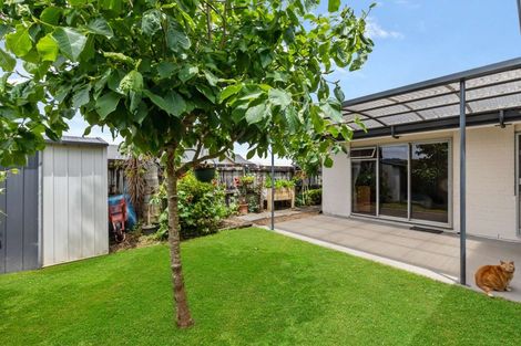 Photo of property in 13 Saffron Street, Cambridge, 3434