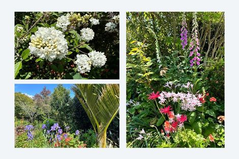 Photo of property in 673 Thornton Road, Thornton, Whakatane, 3194