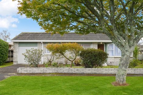 Photo of property in 15 Bains Avenue, Hamilton East, Hamilton, 3216