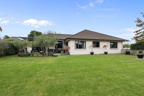 Photo of property in 11 Saffron Street, Cambridge, 3434