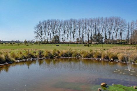 Photo of property in 208 Kawerau Road, Putauaki, Whakatane, 3192