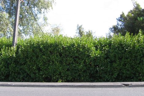 Photo of property in 1/65 Waipa Street, Birkenhead, Auckland, 0626
