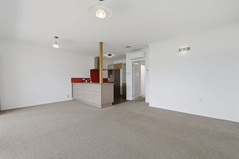 Photo of property in 146 Spring Street, Tauranga, 3110
