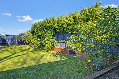 Photo of property in 29 Rehua Drive, Ngaruawahia, 3288
