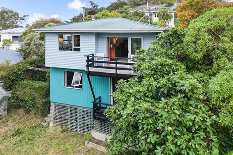 Photo of property in 19 Colville Street, Newtown, Wellington, 6021