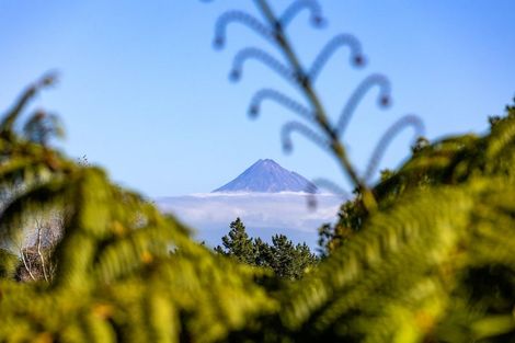 Photo of property in 418 Kaipikari Road, Urenui, 4375