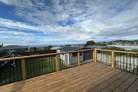 Photo of property in 20 Stephen Street, Halfway Bush, Dunedin, 9010