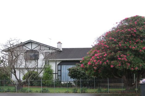 Photo of property in 14 Victoria Street, Levin, 5510