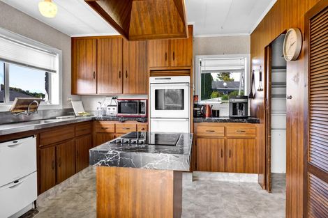 Photo of property in 19 Tybalt Street, Stratford, 4332