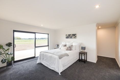 Photo of property in 1298 Taonui Road, Colyton, Feilding, 4775