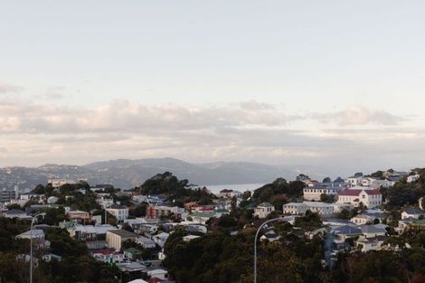 Photo of property in 119 Tiketike Way, Brooklyn, Wellington, 6021