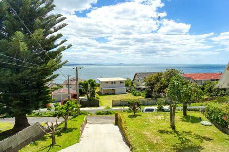Photo of property in 93 Town Point Road, Maketu, 3189