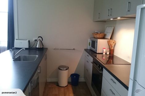 Photo of property in 939 Cumberland Street, North Dunedin, Dunedin, 9016