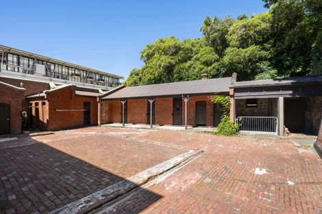 Photo of property in 13 Buckle Street, Mount Cook, Wellington, 6011