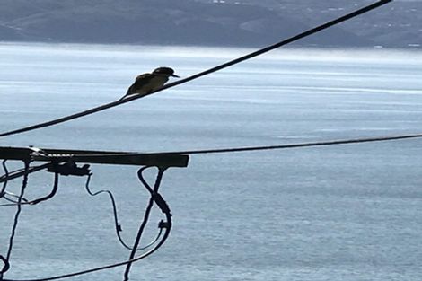 Photo of property in 111 Te Anau Road, Hataitai, Wellington, 6021