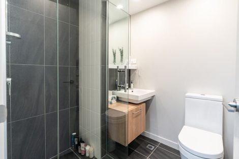 Photo of property in Vsp South, 405/166u Victoria Street, Te Aro, Wellington, 6011