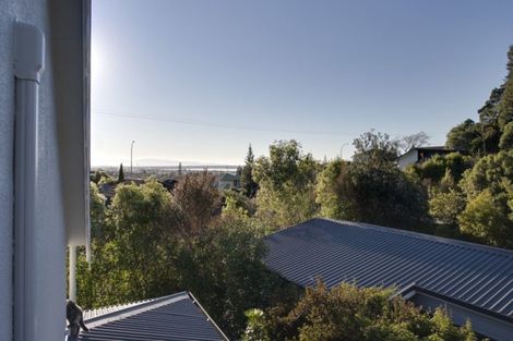 Photo of property in 293 Hill Street, Richmond, 7020