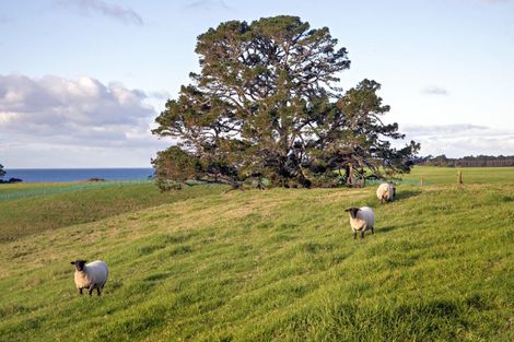 Photo of property in 34b Hauone Road, Pikowai, Whakatane, 3194
