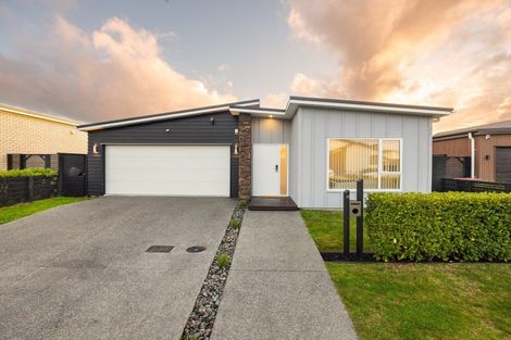 Photo of property in 42 Trewern Avenue, Chartwell, Hamilton, 3210