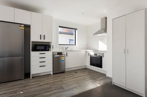Photo of property in 1/4 Searancke Place, Fairfield, Hamilton, 3214