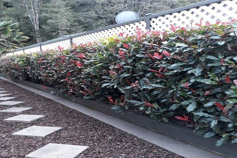 Photo of property in 9 Garden Court, Woodhill, Whangarei, 0110