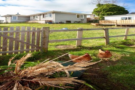 Photo of property in 19 Park Avenue, Tokoroa, 3420