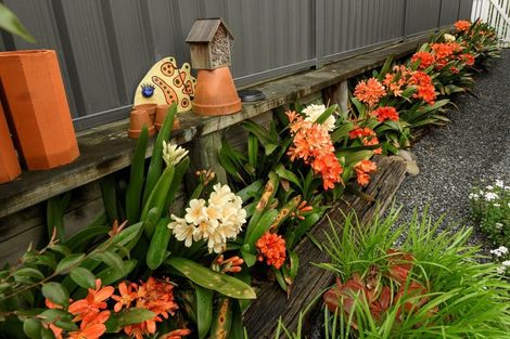 Photo of property in 120 Kennedy Road, Pyes Pa, Tauranga, 3112