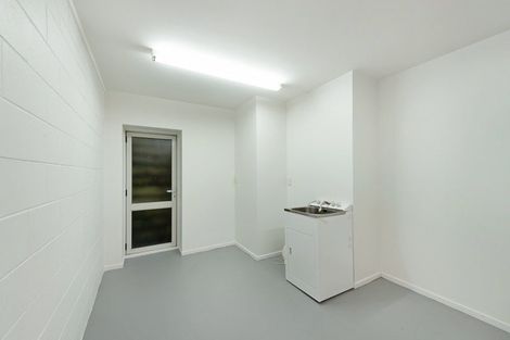 Photo of property in 43b Rolleston Street, Mount Cook, Wellington, 6021