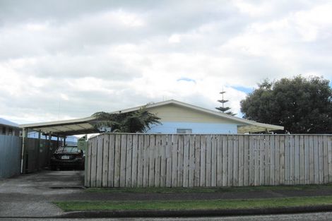 Photo of property in 41 Heather Street, Levin, 5510