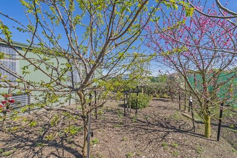 Photo of property in 56 Verdeco Boulevard, Lincoln, 7608