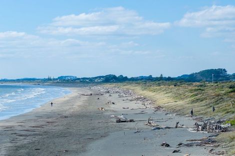 Photo of property in 14 Olliver Grove, Waikanae Beach, Waikanae, 5036