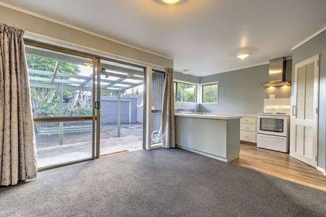 Photo of property in 41 Winstone Avenue, Chartwell, Hamilton, 3210