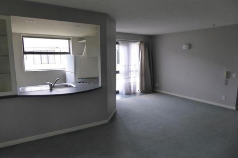 Photo of property in 566j Adelaide Road, Berhampore, Wellington, 6023