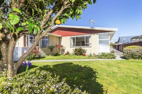 Photo of property in 79f3 Rotherham Terrace, Miramar, Wellington, 6022