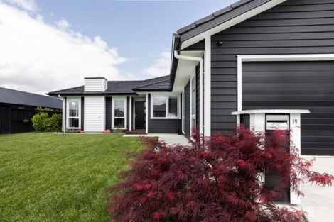 Photo of property in 19 Kowhai Drive, Cambridge, 3434