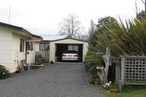 Photo of property in 65b Victoria Street, Coromandel, 3506