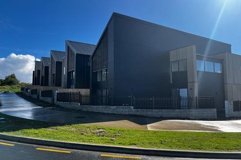 Photo of property in 71 Waterlily Street, Hobsonville, 0616