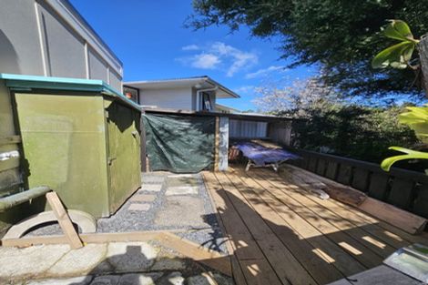 Photo of property in 17 Armagh Street, Greerton, Tauranga, 3112