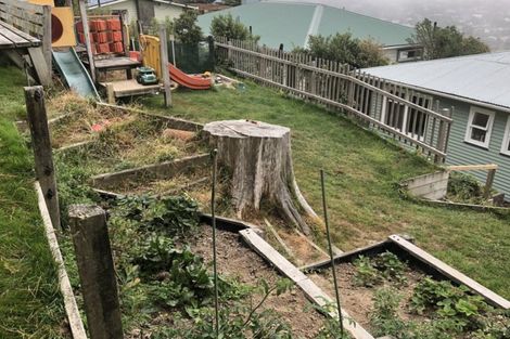 Photo of property in 17 Bedford Street, Northland, Wellington, 6012