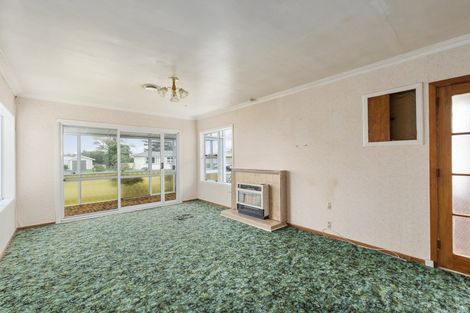 Photo of property in 14 Ferguson Street, Levin, 5510