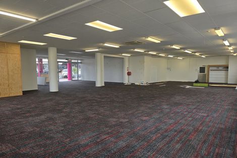 Photo of property in 27 Nelson Crescent, Napier South, Napier, 4110