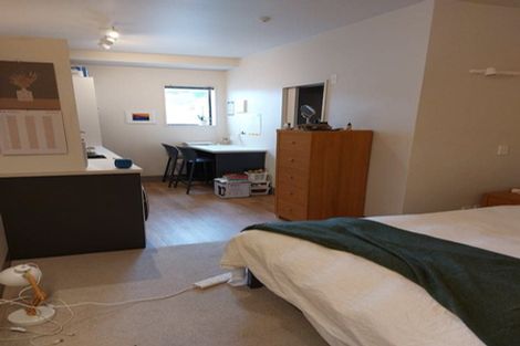 Photo of property in Urbane Apartments, 25/29 Webb Street, Mount Cook, Wellington, 6011