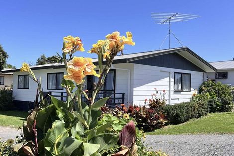 Photo of property in 65a Victoria Street, Coromandel, 3506